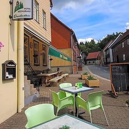 Hotel Restaurant & Druidenstein Hasselfelde