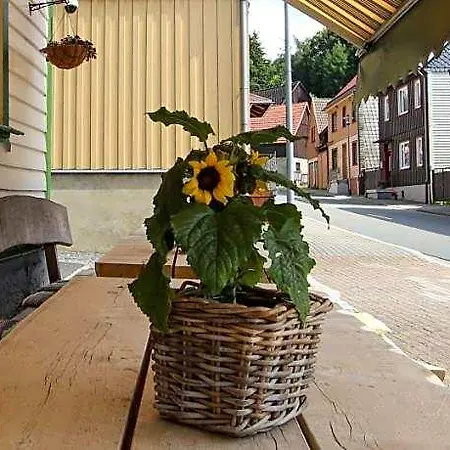Restaurant & Druidenstein Hotel 2*